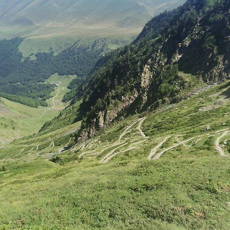 Maison 13 Pers A 10Mn De Luchon Cazaux-Layrisse Eksteriør bilde