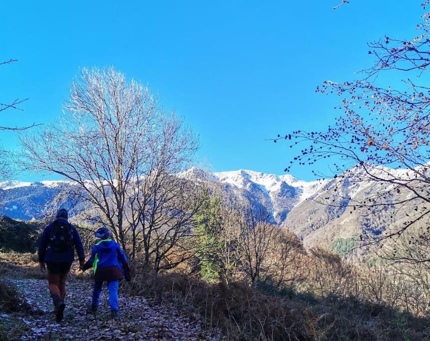 Maison 13 Pers A 10Mn De Luchon Cazaux-Layrisse Eksteriør bilde