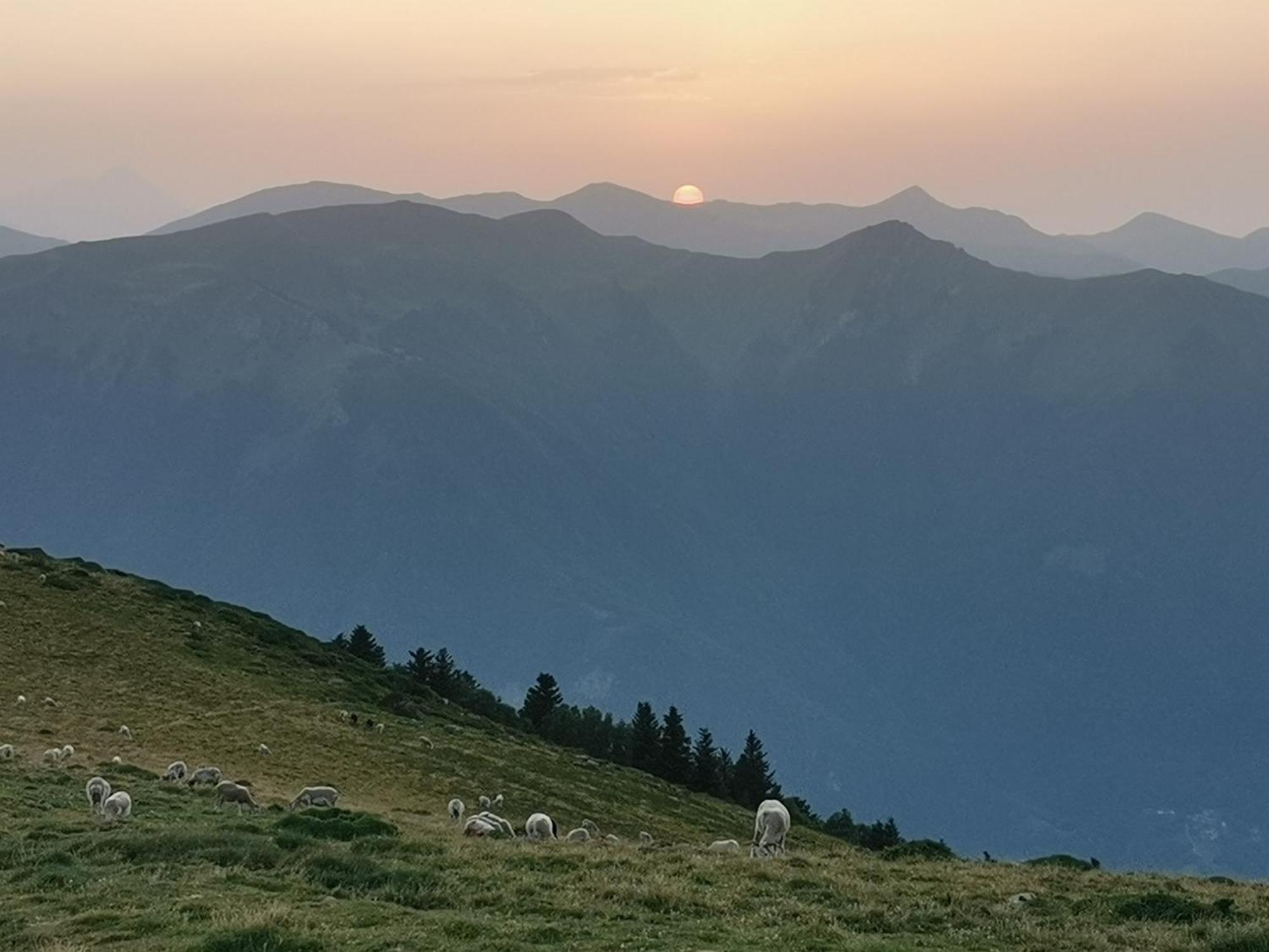 Maison 13 Pers A 10Mn De Luchon Cazaux-Layrisse Eksteriør bilde